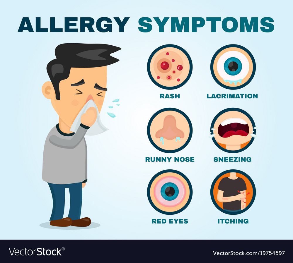 allergy-symptoms-problem-infographic-vector-19754597